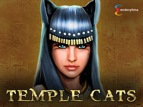 Temple Cats бесплатная демо версия